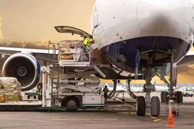 Multi Cargo Services