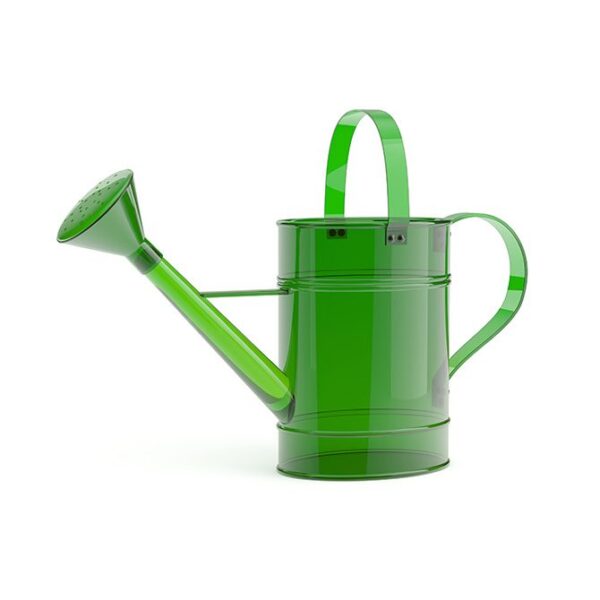 Glass Watering Can