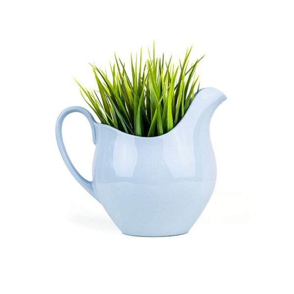 Grass In Jar