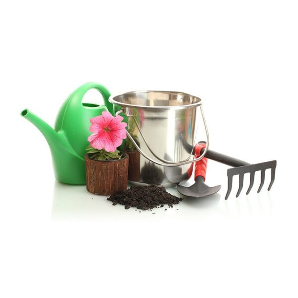 Eco Friendly Tools