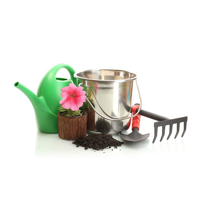 Eco Friendly Tools