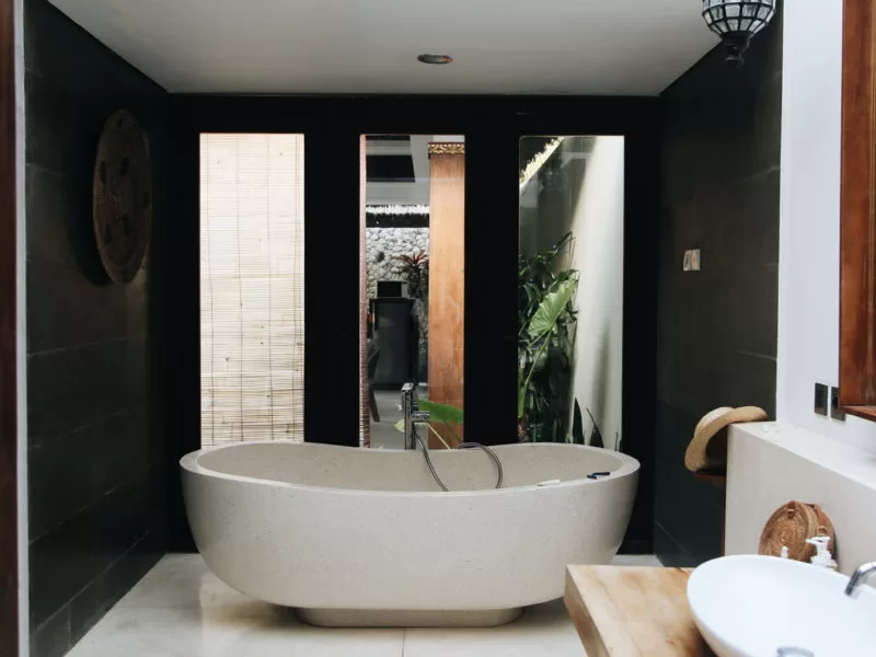 Luxury Bathroom Interior