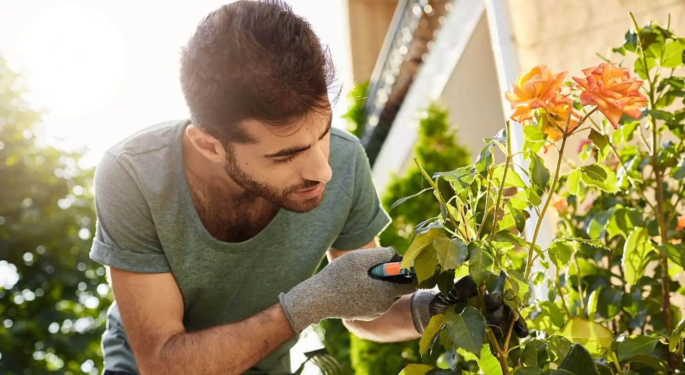 Planting A Garden Is Similar To Believe In Tomorrow