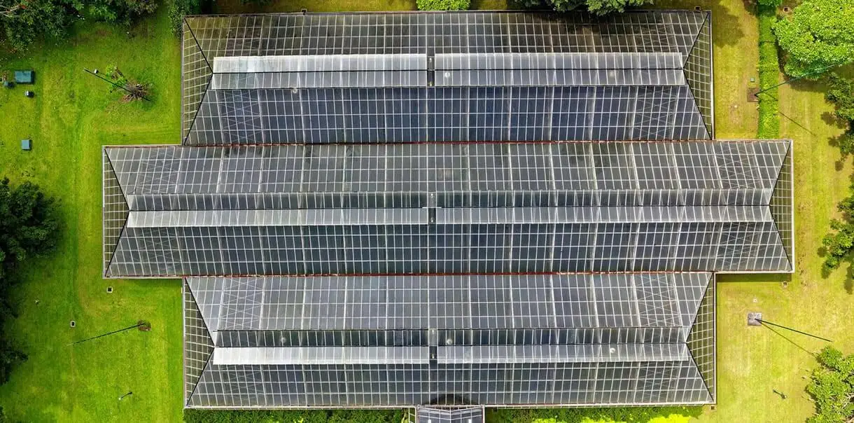 Go Solar For A Green Earth, Clean Energy And Lower Energy Bills