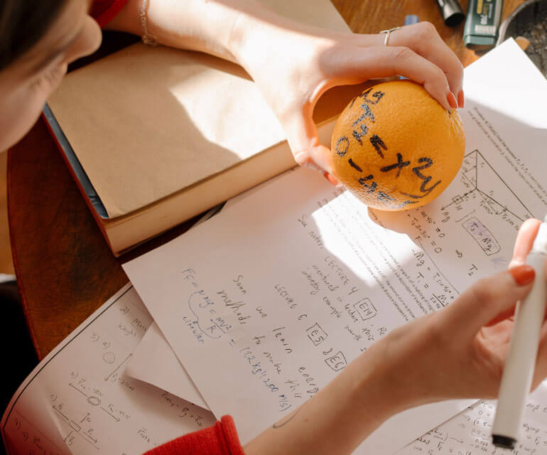 Introduction to Mathematics Courses