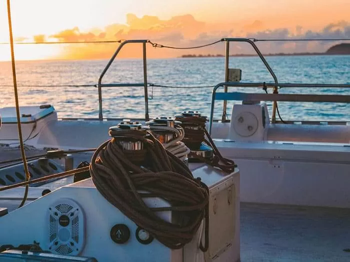 Friends Hiking In Green Forest