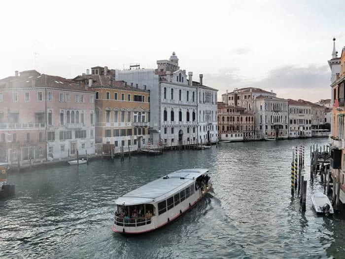 Photo Of People Riding On Pickup